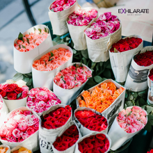 Load image into Gallery viewer, Women's Body Wash - Spring/Summer Collection